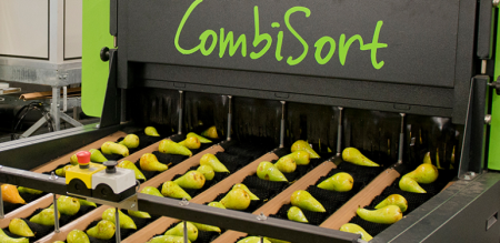 Combisort